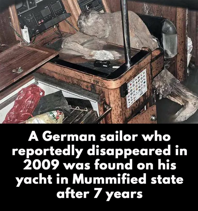 The Sailor Who Never Docked
