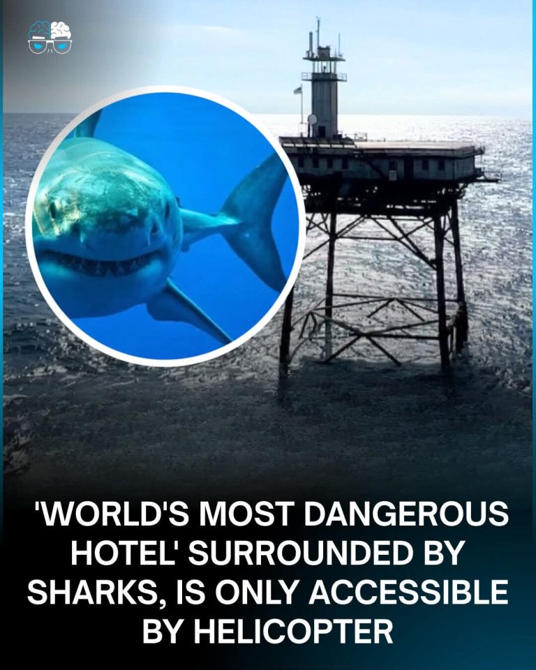 World Most Dangerous Hotel