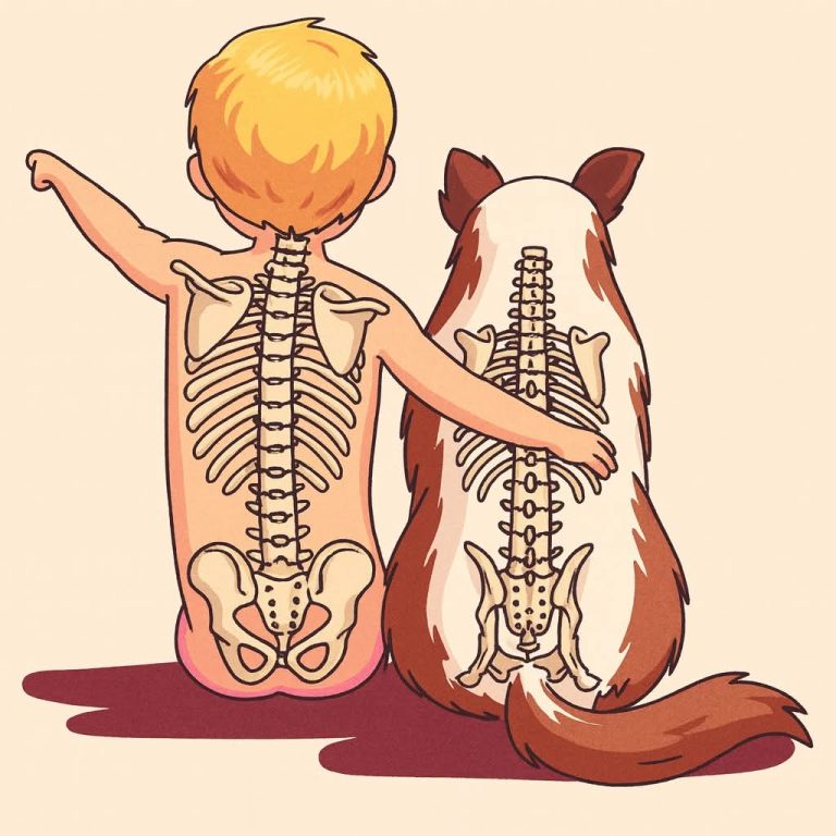 WHY DOGS LIVE SHORTER LIVES THAN HUMANS