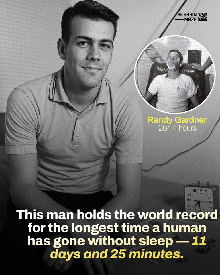 The Student Who Stayed Awake For 11 Days Twenty Five Minutes With Out Sleep